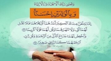بر الوالدين ..صور وفضائل