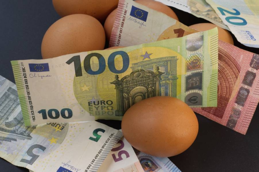 بعد أميركا.. أوروبا تعاني من ارتفاع أسعار البيض بعد أميركا.. أوروبا تعاني من ارتفاع أسعار البيض