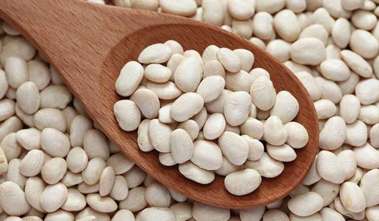 بقيادة الفاصوليا الجافة.. 15% نموًا فى صادرات مصر الزراعية الموسم الحالي