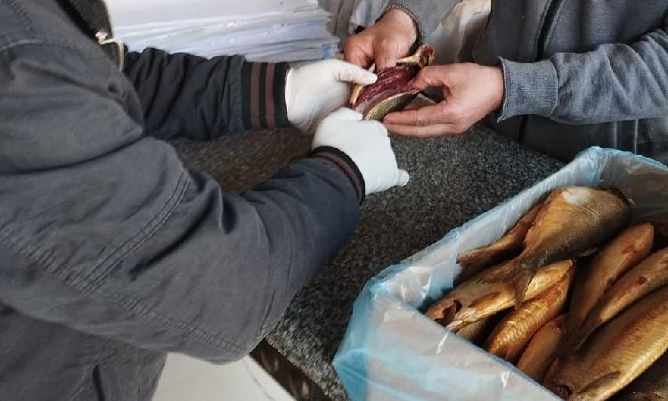 بيطري الغربية يضبط 8.5 أطنان أسماك مدخنة ومملحة غير صالحة للاستهلاك بيطري الغربية يضبط 8.5 أطنان أسماك مدخنة ومملحة غير صالحة للاستهلاك
