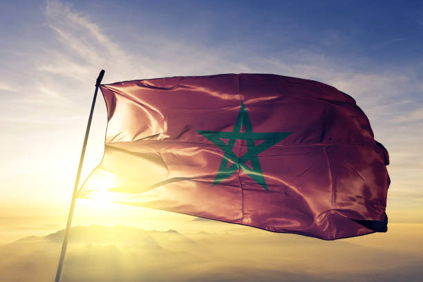 بين الواقع والطموح: القارة الإفريقية تختبر فعالية سياسة الحد من المخاطر