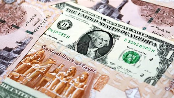 تباين سعر الدولار في البنوك المصرية خلال منتصف تعاملات اليوم تباين سعر الدولار في البنوك المصرية خلال منتصف تعاملات اليوم