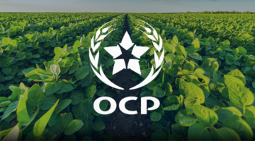 تحالف علمي وتقني بين Nutricrops OCP ومعاهد دولية لتعزيز الفلاحة المستدامة