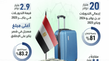 تحويلات المصريين العاملين بالخارج