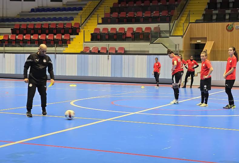 ترتيب قائدات منتخب مصر قبل انطلاق مشوارهن بـ أمم إفريقيا “خاص” ترتيب قائدات منتخب مصر قبل انطلاق مشوارهن بـ أمم إفريقيا “خاص”