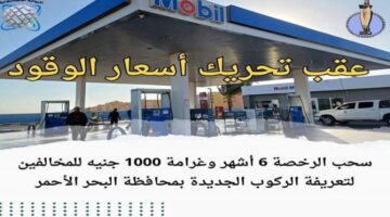تشديد الرقابة على تعريفة الركوب بالبحر الأحمر
