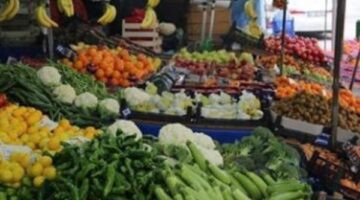تعرف على أسعار الخضراوات والفاكهة فى أسواق أسوان اليوم السبت