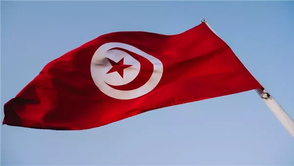 تفاصيل الأحكام القضائية في تونس ضد متهمين بالتآمر على أمن الدولة تفاصيل الأحكام القضائية في تونس ضد متهمين بالتآمر على أمن الدولة