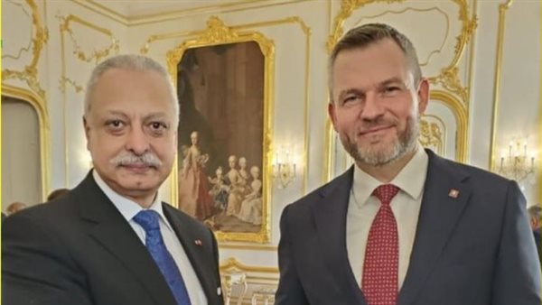 تفاصيل لقاء سفير مصر في سلوفاكيا مع رئيس الجمهورية تفاصيل لقاء سفير مصر في سلوفاكيا مع رئيس الجمهورية