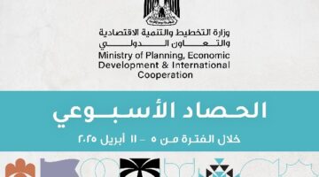 تنفيذ 4 مشروعات مع فرنسا | التخطيط في أسبوع