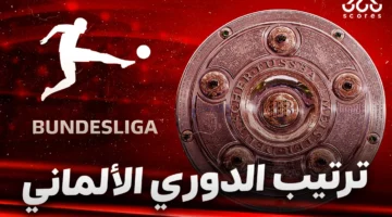 جدول ترتيب الدوري الألماني 2024/2025 بعد الجولة 29