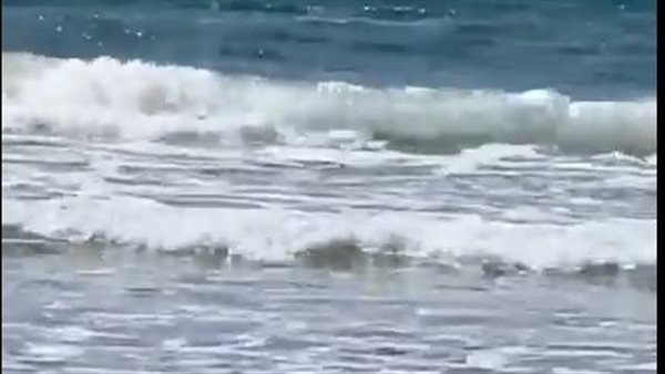 جنود في البر والبحر.. قرش يلتهم سباحًا إسرائيليًا على شاطئ الخضيرة (فيديو) جنود في البر والبحر.. قرش يلتهم سباحًا إسرائيليًا على شاطئ الخضيرة (فيديو)