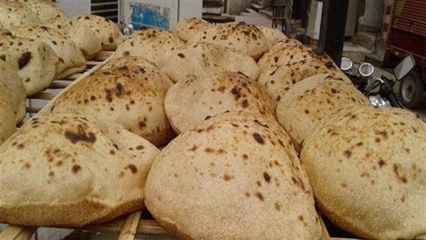 جهاز مستقبل مصر: نستهدف تحقيق الإكتفاء الذاتي للرغيف المُدعم من القمح المحلي جهاز مستقبل مصر: نستهدف تحقيق الإكتفاء الذاتي للرغيف المُدعم من القمح المحلي
