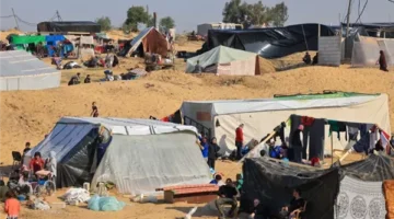 جيش الاحتلال يبدأ إقامة “منطقة آمنة” جديدة على الحدود المصرية لنقل الفلسطينيين