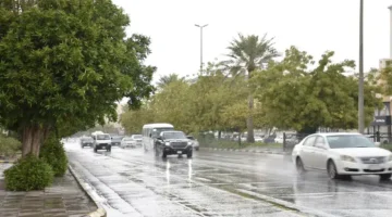 حالة الطقس اليوم الاثنين 21-4-2025 في السعودية.. أمطار رعدية مع رياح وغبار