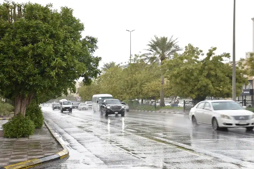 حالة الطقس اليوم الاثنين 21-4-2025 في السعودية.. أمطار رعدية مع رياح وغبار حالة الطقس اليوم الاثنين 21-4-2025 في السعودية.. أمطار رعدية مع رياح وغبار