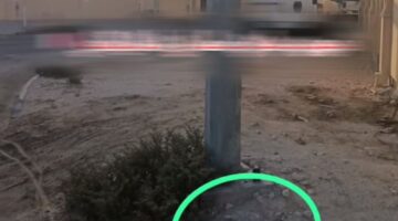 حساب على &quot;تيك توك&quot; يروّج لمواد ممنوعة داخل قطر بطريقة غريبة&nbsp;(صور)
