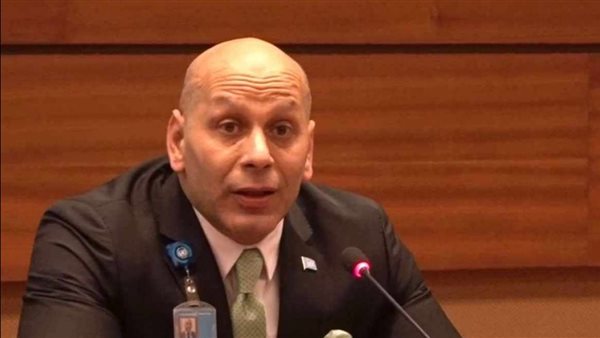 حقوقي يطالب بالتركيز على نشر ألقاب مثل البطل والشهيد
