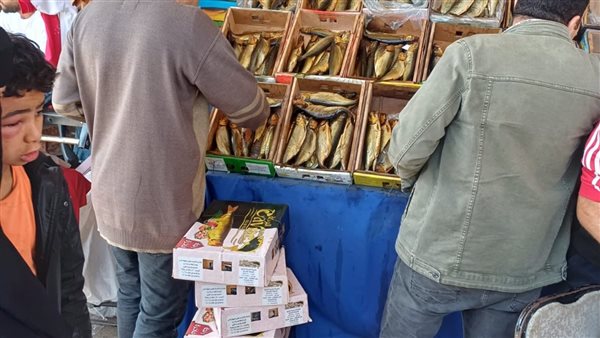 حملات لمراقبة الاغذية فى الاسواق والمحلات بالفيوم حملات لمراقبة الاغذية فى الاسواق والمحلات بالفيوم