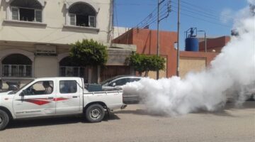 حملات موسعة بالغربية لمكافحة الناموس والحشرات الطائرة