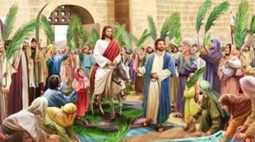 خلال ساعات.. الكنيسة القبطية الأرثوذكسية تستعد لاستقبال أحد الشعانين