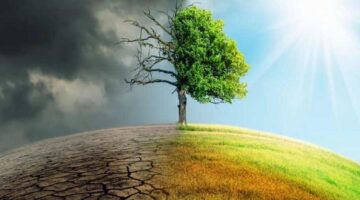 “حزب البيئة العالمي”: تأثير التغيرات المناخية يزداد مع غياب خطة عالمية للتصدي لها