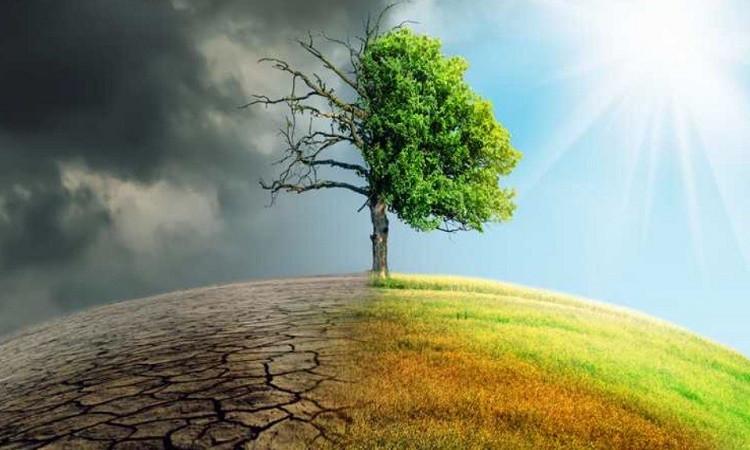 د. سمعان:التقلبات المناخية في موسم الربيع أصبحت أكثر عنفاً د. سمعان:التقلبات المناخية في موسم الربيع أصبحت أكثر عنفاً