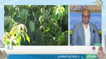 د.أبو المعاطي يوضح خطورة التغيرات المناخية وتأثيرها على المحاصيل الزراعية