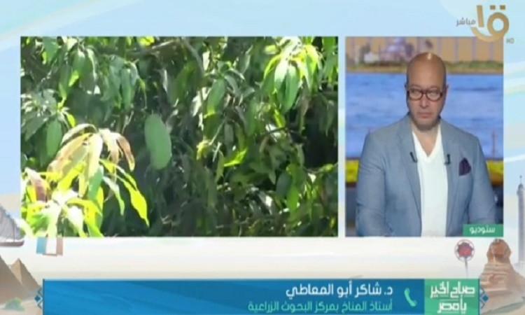 د.أبو المعاطي يوضح خطورة التغيرات المناخية وتأثيرها على المحاصيل الزراعية د.أبو المعاطي يوضح خطورة التغيرات المناخية وتأثيرها على المحاصيل الزراعية