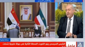 د.جرجس:مصر تقود تحركًا دبلوماسيًا وقانونيًا ضد التهجير القسري للفلسطينيين