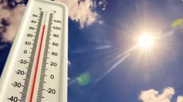 درجات الحرارة وحالة الطقس فى الوادى الجديد اليوم الأحد