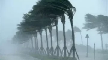 دعاء الرياح والعواصف الشديدة.. ردد ما قاله النبي واغتنم الفرصة