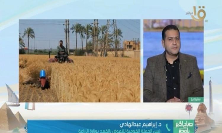 د.عبد الهادي: مصر تعزز إنتاج القمح ببذور متطورة وتقنيات تخزين حديثة د.عبد الهادي: مصر تعزز إنتاج القمح ببذور متطورة وتقنيات تخزين حديثة