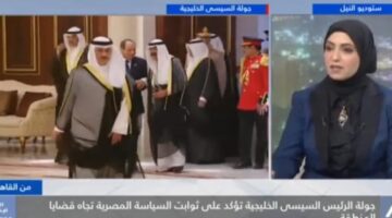 د.غادة: جولة الرئيس الخليجية تؤكد الثوابت المصرية تجاه قضايا المنطقة
