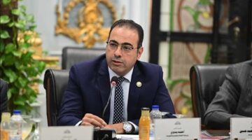 رئيس "شباب النواب": مصر والمصريون المدافع الأول عن القضية الفلسطينية