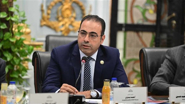 رئيس "شباب النواب": مصر والمصريون المدافع الأول عن القضية الفلسطينية رئيس "شباب النواب": مصر والمصريون المدافع الأول عن القضية الفلسطينية