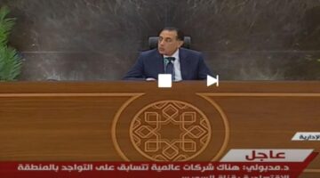 رئيس الوزراء: توافق عربي حول فلسطين والتحديات الإقليمية