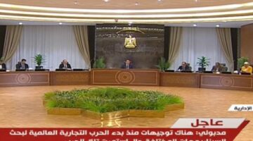 رئيس الوزراء: ضخ مزيد من الاستثمارات فى مصر الفترة المقبلة