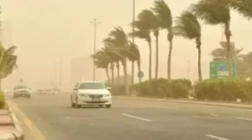 رئيس هيئة الأرصاد لـ«الجمهور»: «اللي يخرج للشارع بكرة يلبس كمامة»