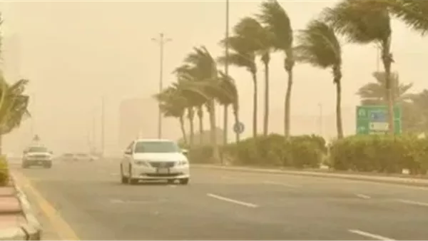 رئيس هيئة الأرصاد لـ«الجمهور»: «اللي يخرج للشارع بكرة يلبس كمامة» رئيس هيئة الأرصاد لـ«الجمهور»: «اللي يخرج للشارع بكرة يلبس كمامة»