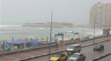 رغم حالة القلق بسبب العاصفة الترابية.. استمرار حركة الميناء بالإسكندرية
