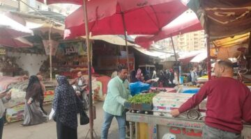رفع 296 حالة اشغال ثابت ومتحرك بالمحمودية ودمنهور