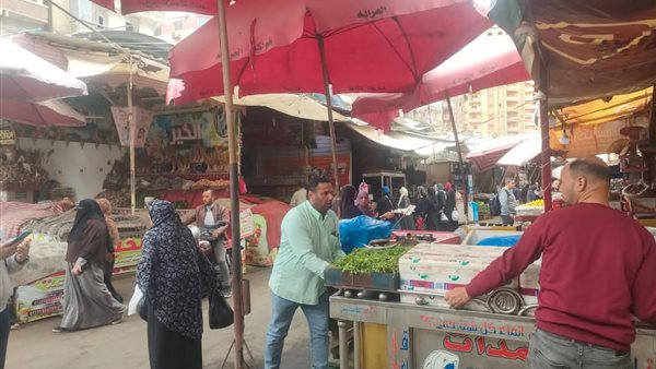 رفع 296 حالة اشغال ثابت ومتحرك بالمحمودية ودمنهور رفع 296 حالة اشغال ثابت ومتحرك بالمحمودية ودمنهور