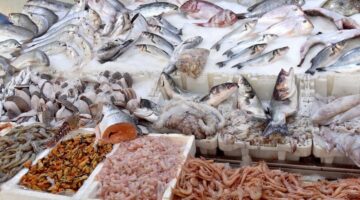 برلماني يبرز مفارقة: السمك المغربي أرخص في أوروبا والوزيرة الدريوش تفسر الغلاء بتقلبات المناخ