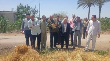 زراعة البحيرة: تنفيذ يوم حصاد لمحصول القمح بمركز ايتاى البارود