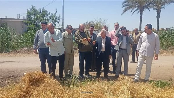 زراعة البحيرة: تنفيذ يوم حصاد لمحصول القمح بمركز ايتاى البارود زراعة البحيرة: تنفيذ يوم حصاد لمحصول القمح بمركز ايتاى البارود