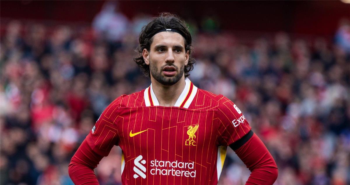 سوبوسلاي: لا نراقب آرسنال.. مصير لقب الدوري الإنجليزي بأيدينا سوبوسلاي: لا نراقب آرسنال.. مصير لقب الدوري الإنجليزي بأيدينا