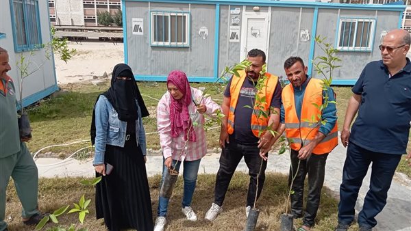 سياحة وفنادق بالإسماعيلية تشارك المحافظة في زراعة الأشجار المثمرة سياحة وفنادق بالإسماعيلية تشارك المحافظة في زراعة الأشجار المثمرة