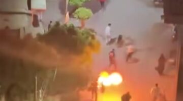 شاهد.. لحظة حرق كلب حي والشروع في قتل سيدة ببنها