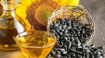 شراكة استراتيجية لتطوير قطاع الزراعات الزيتية بالمغرب وتعزيز السيادة الغذائية